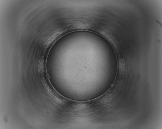 X0000103420581200809121309