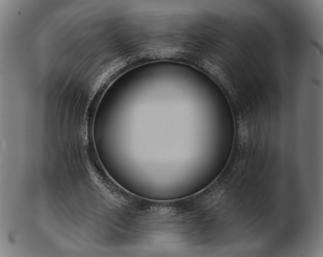 X0000103420582200809121309