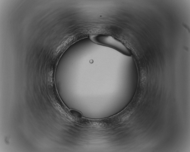 X0000103420585200809121309