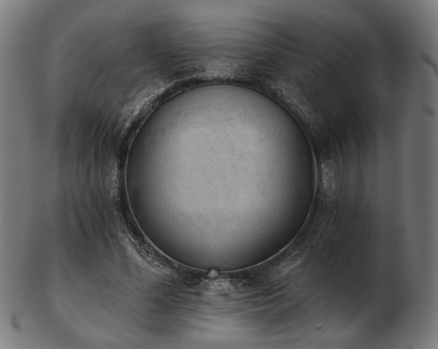 X0000103420588200809121309