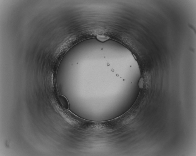 X0000103420589200809121309