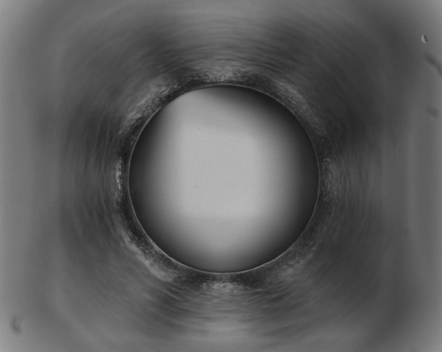 X0000103420590200809121309