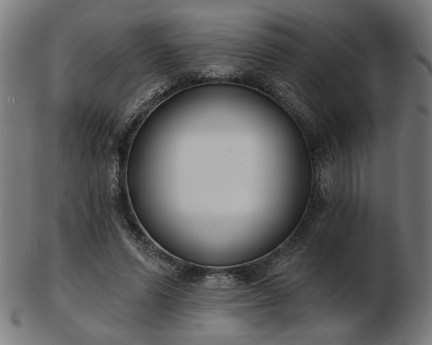 X0000103420591200809121309