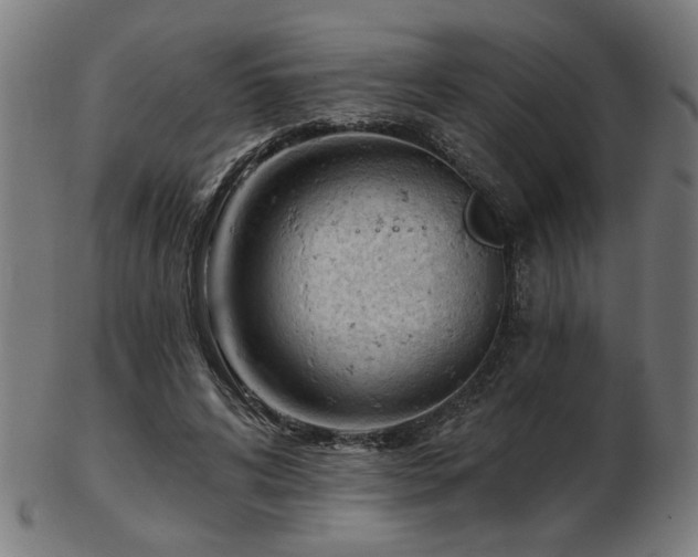 X0000103420592200809121309