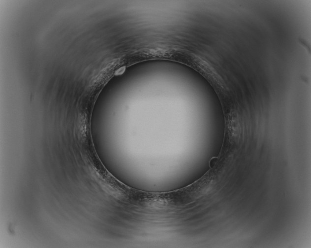 X0000103420593200809121309