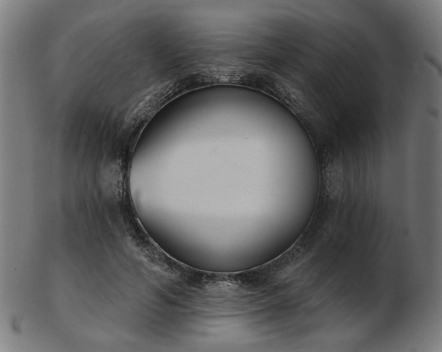 X0000103420594200809121309