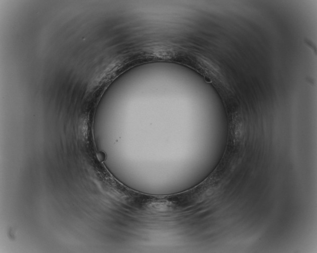 X0000103420595200809121309
