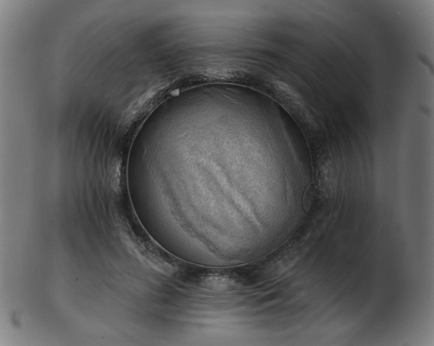 X0000103420596200809121309