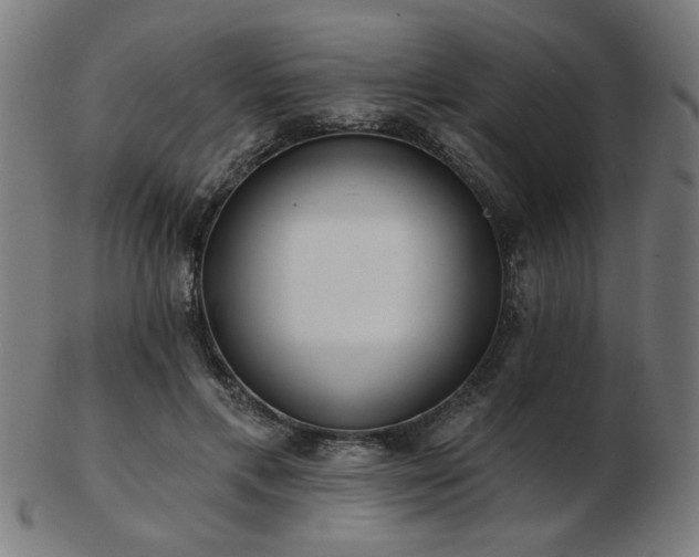 X0000103420597200809121309