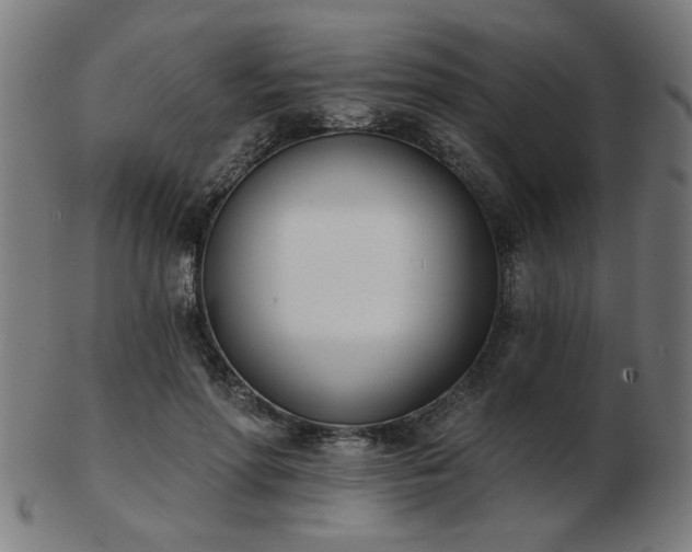 X0000103420598200809121309