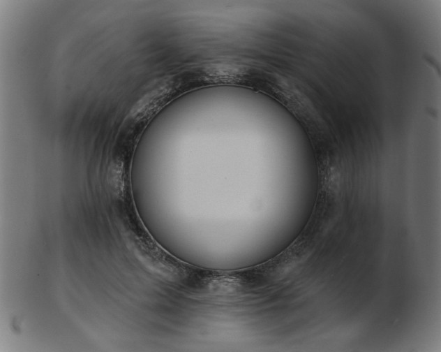 X0000103420599200809121309