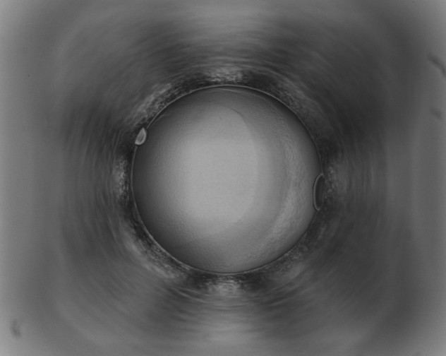X0000103420600200809121309