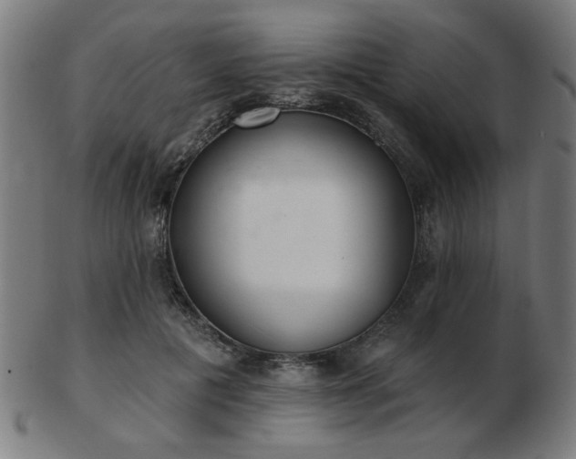 X0000103420601200809121309