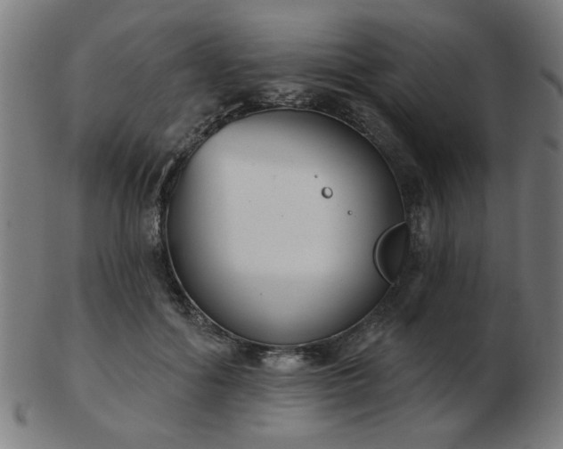 X0000103420602200809121309