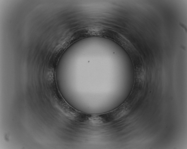 X0000103420603200809121309