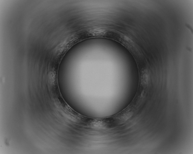 X0000103420604200809121309