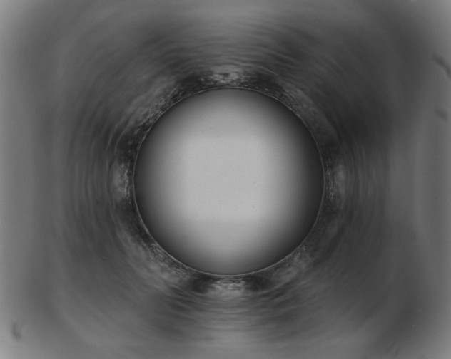 X0000103420606200809121309