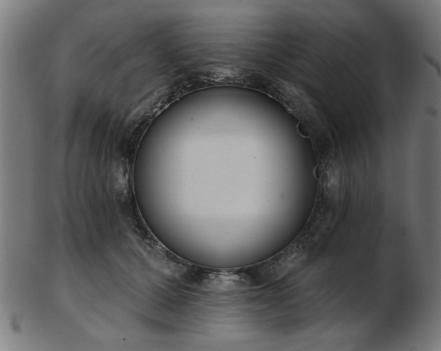 X0000103420607200809121309