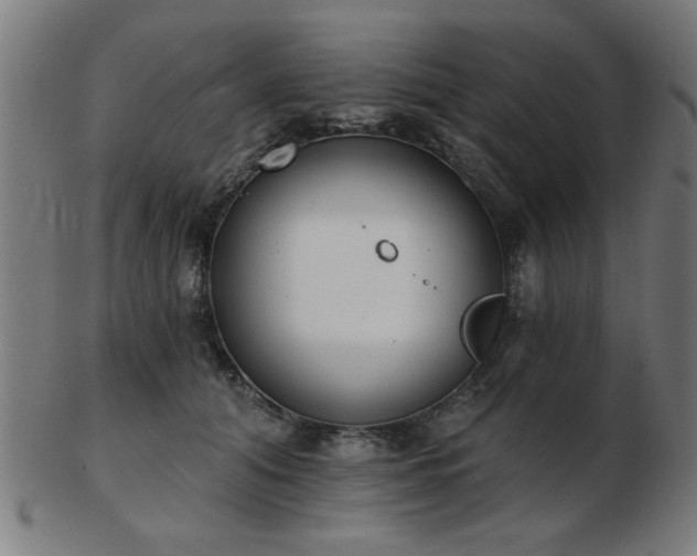 X0000103420608200809121309