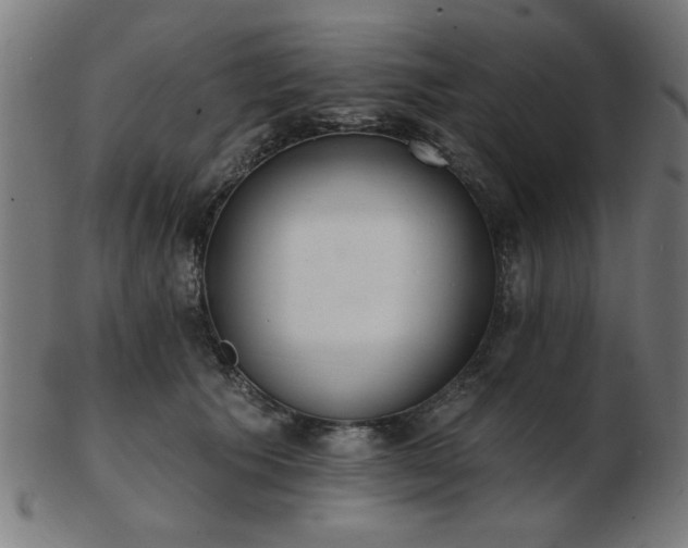 X0000103420609200809121309