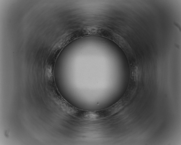 X0000103420610200809121309