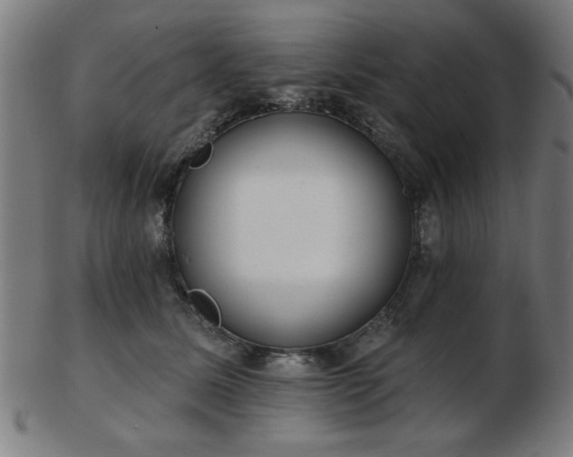 X0000103420611200809121309