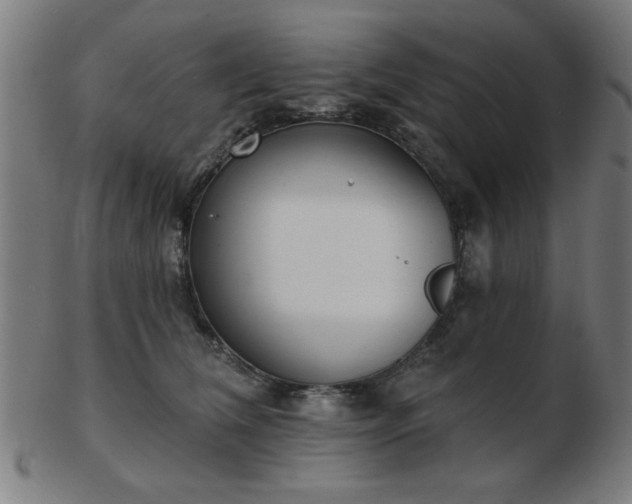 X0000103420612200809121309