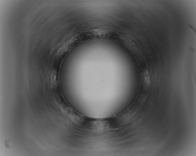 X0000103420615200809121308