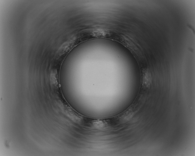X0000103420616200809121308