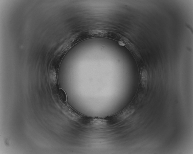 X0000103420617200809121308