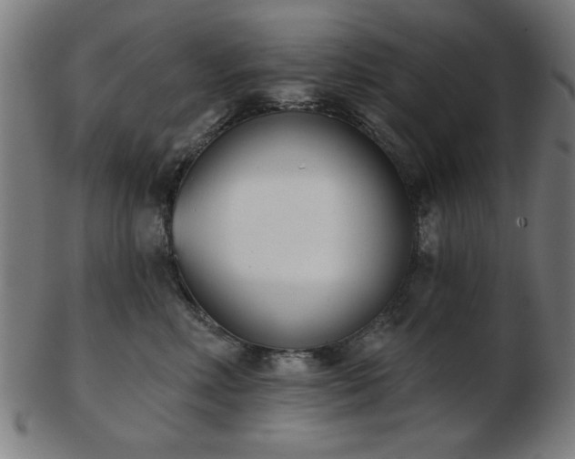 X0000103420618200809121308