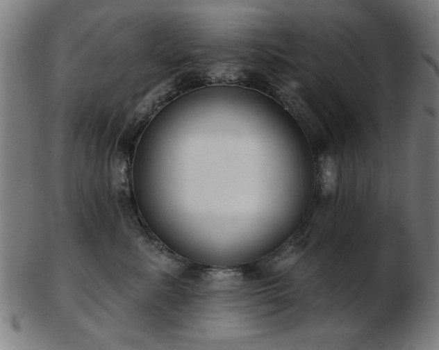 X0000103420619200809121308