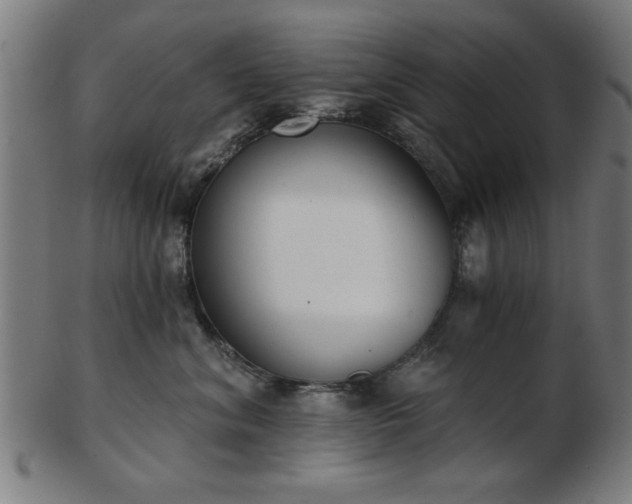 X0000103420620200809121308