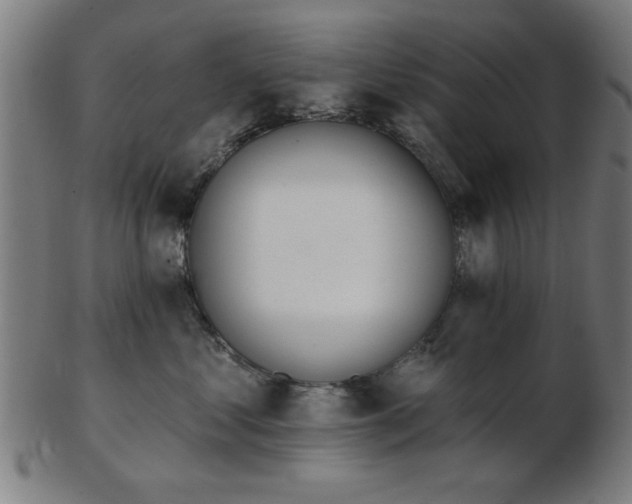 X0000103420621200809121308