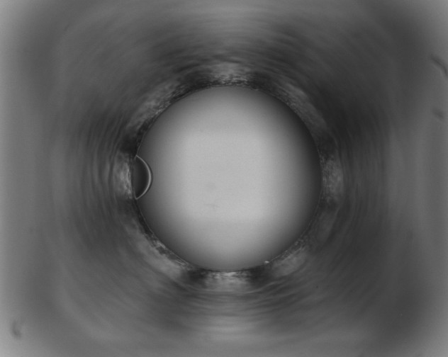 X0000103420622200809121308