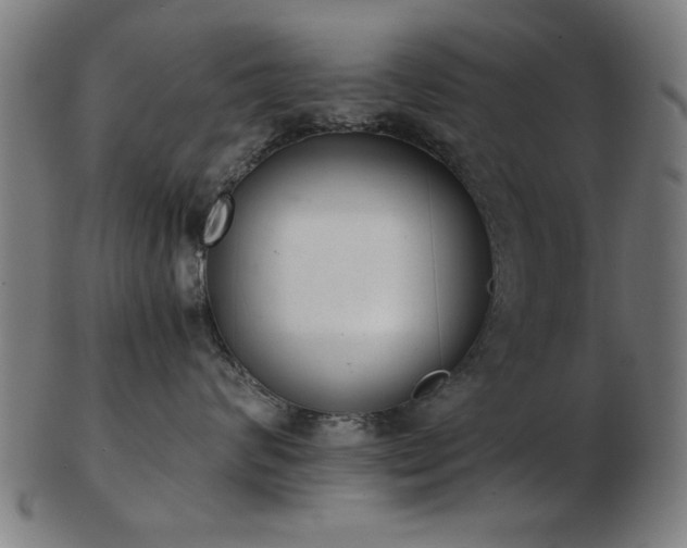 X0000103420624200809121308
