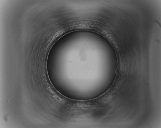 X0000103420625200809121308