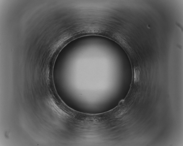 X0000103420627200809121308