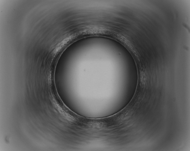 X0000103420629200809121308