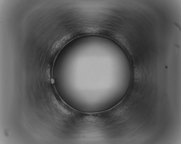 X0000103420633200809121308