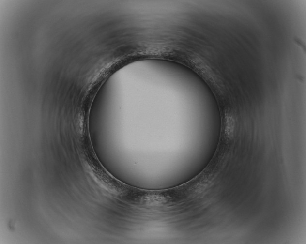 X0000103420636200809121308