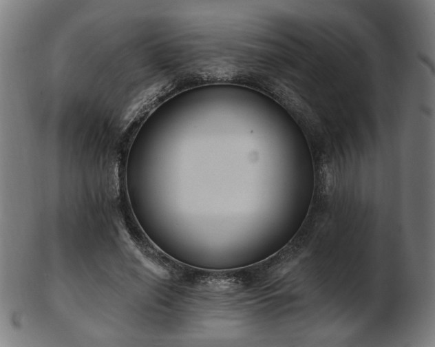 X0000103420638200809121308