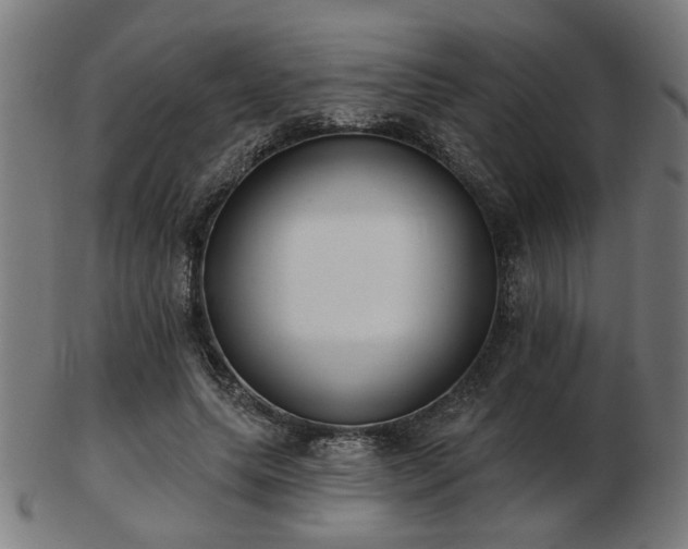 X0000103420639200809121308