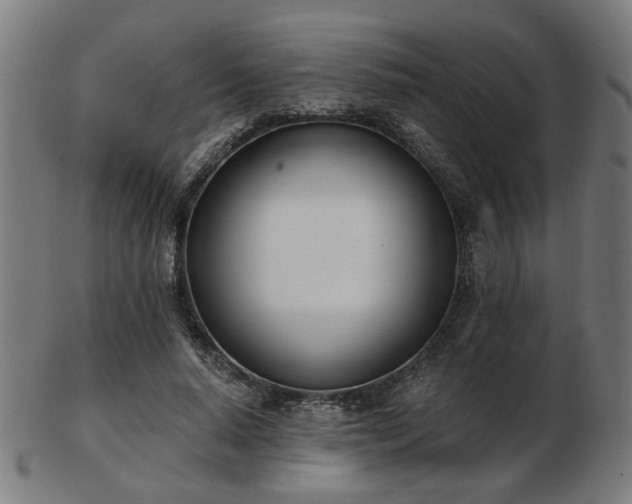 X0000103420640200809121308