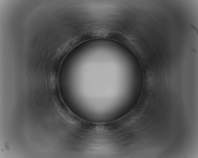 X0000103420641200809121308