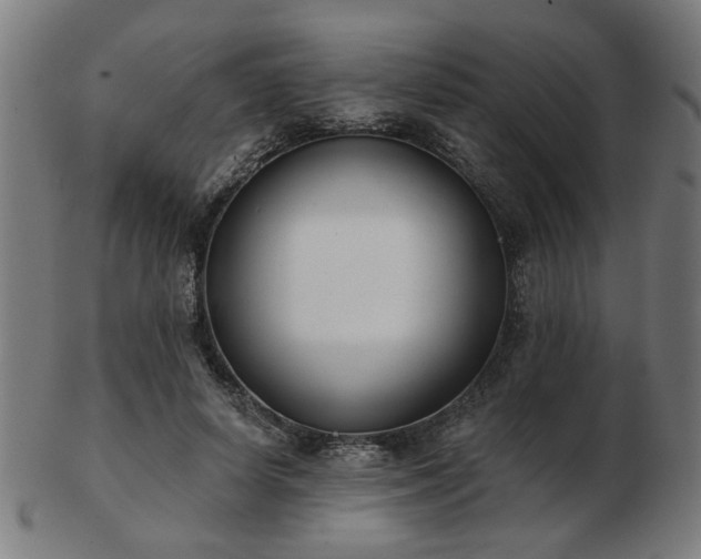 X0000103420642200809121308