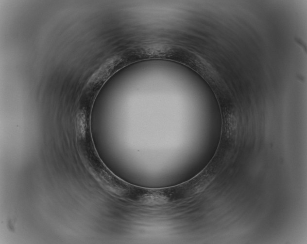 X0000103420644200809121308