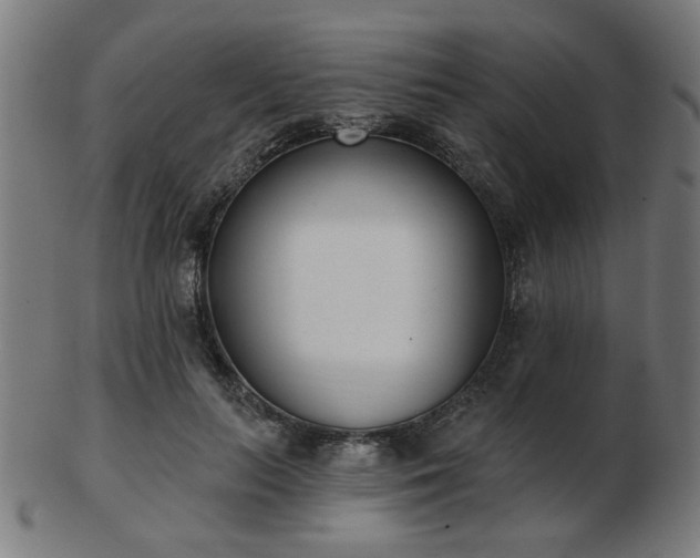 X0000103420647200809121308