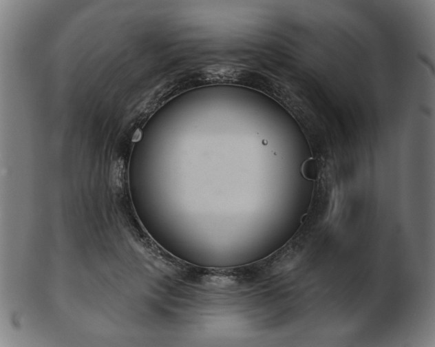 X0000103420649200809121308