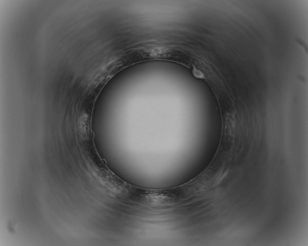 X0000103420650200809121308